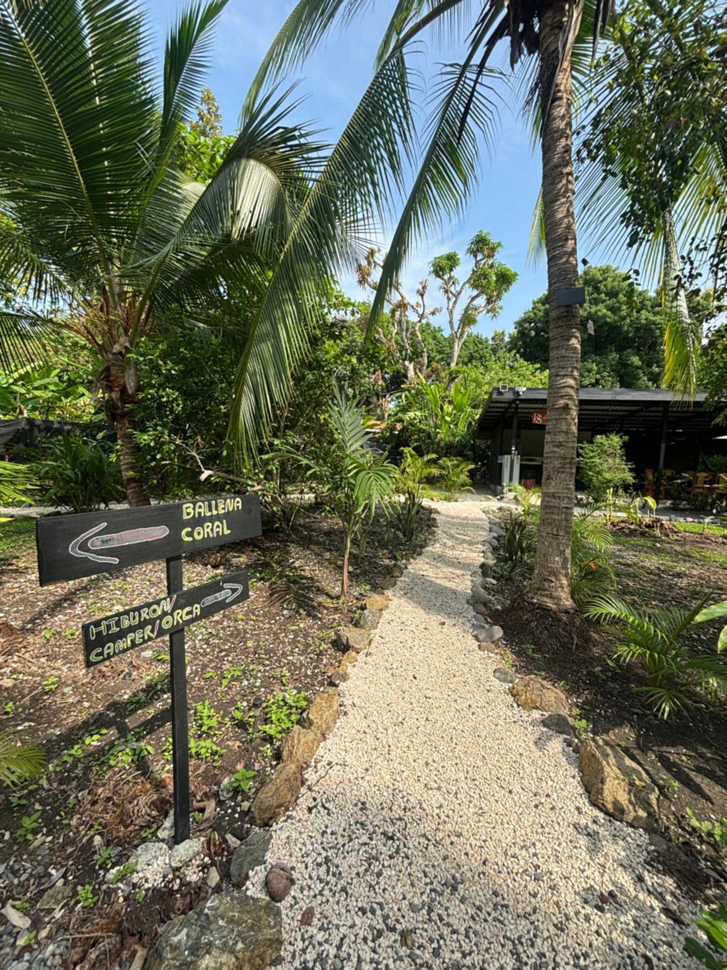 Ds House Hotel Cabuya  Екстериор снимка