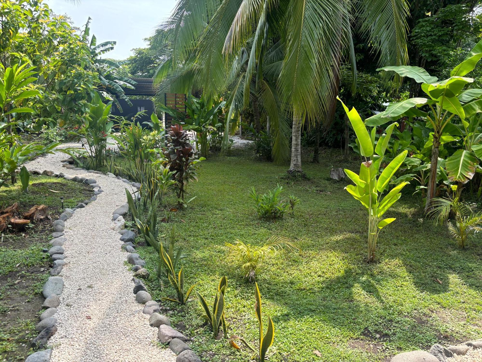 Ds House Hotel Cabuya  Екстериор снимка