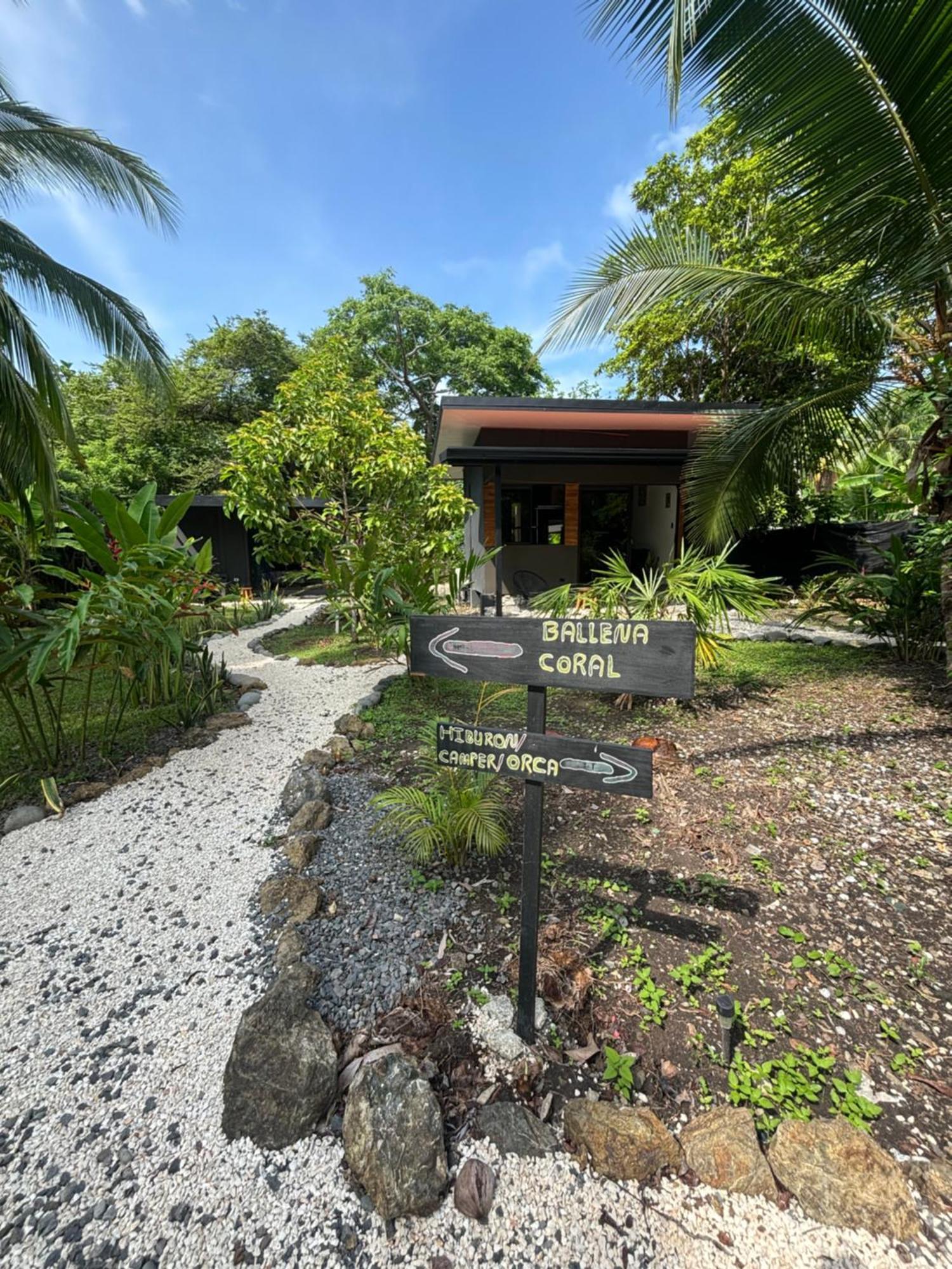 Ds House Hotel Cabuya  Екстериор снимка